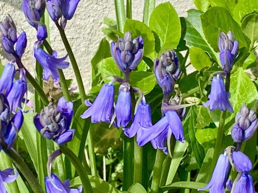 IMG_6391.jpg?type=w966