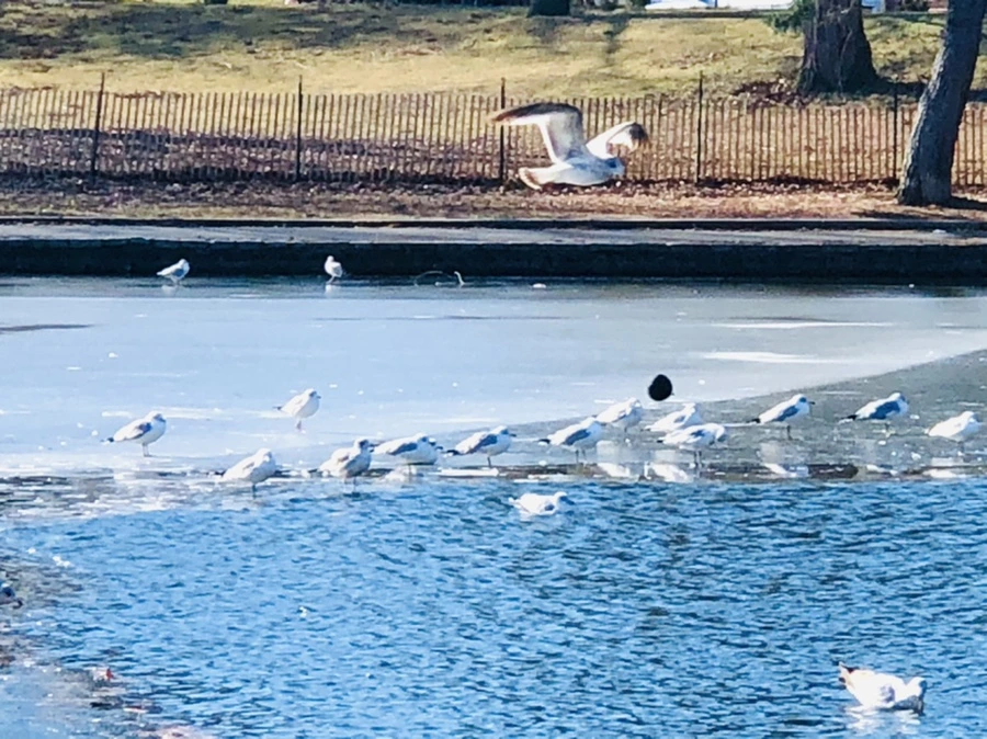 IMG_6603.jpg?type=w966