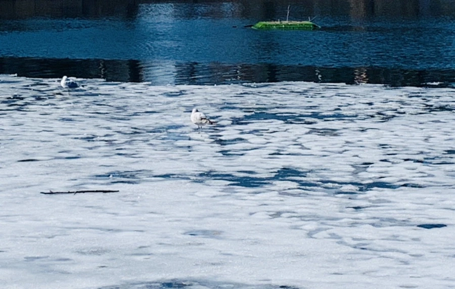 IMG_6957.jpg?type=w966