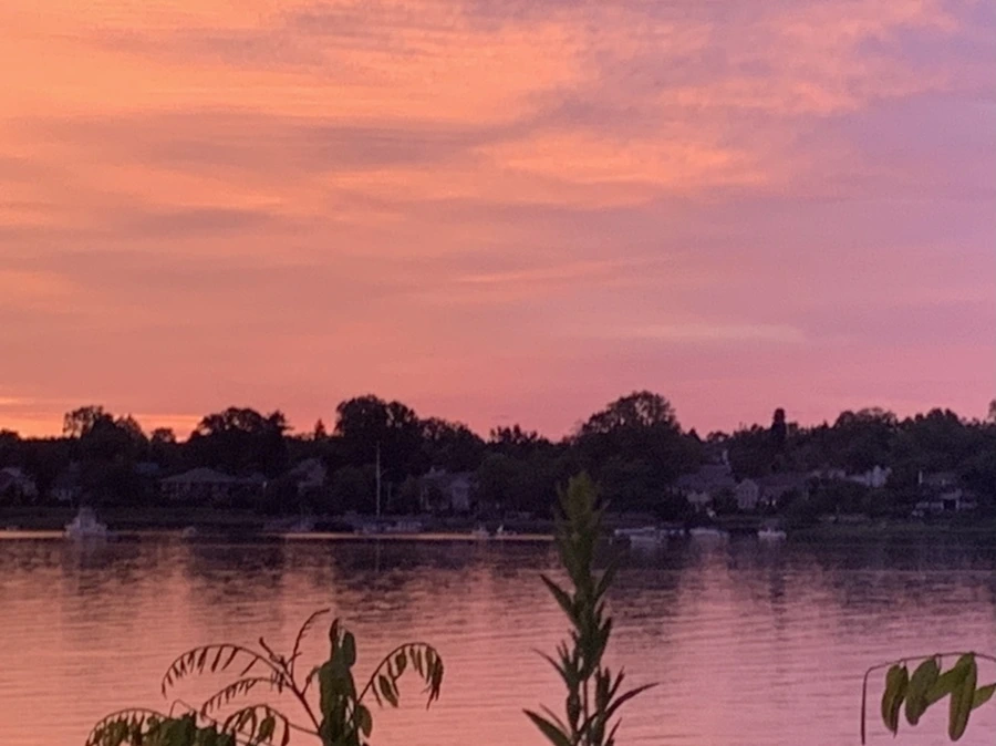 IMG_5866.jpg?type=w966