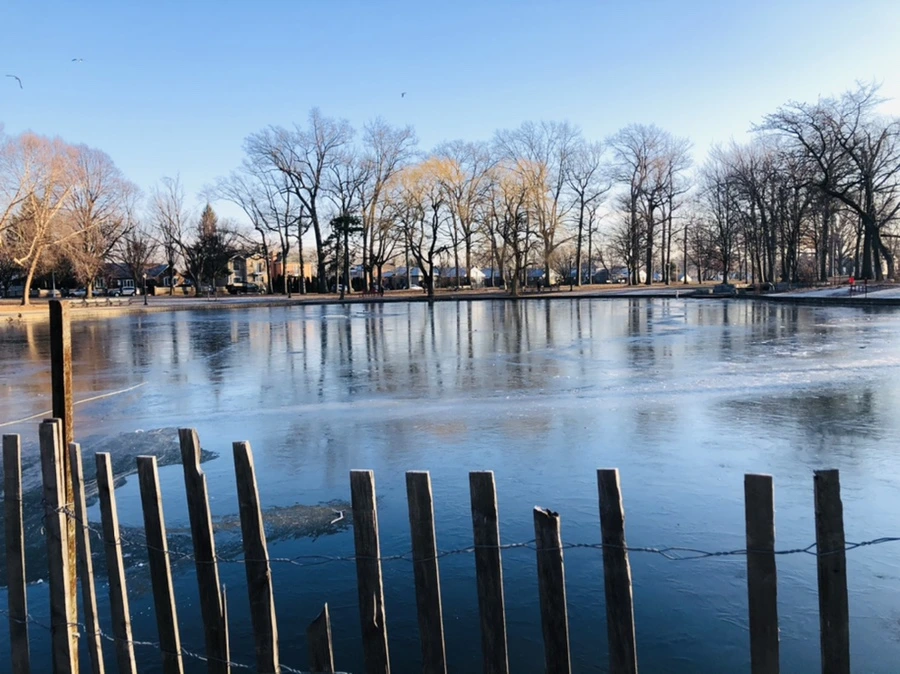 IMG_2227.jpg?type=w966