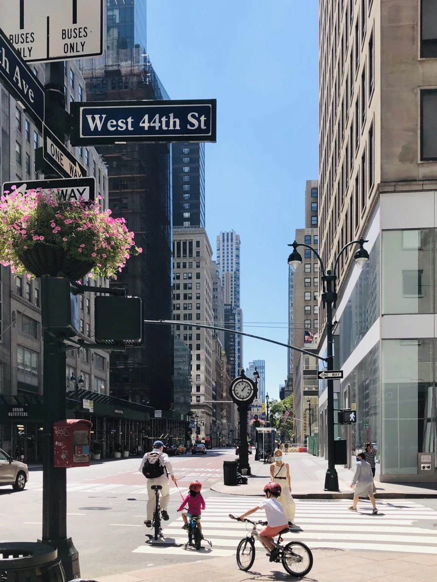 IMG_8155.jpg?type=w966