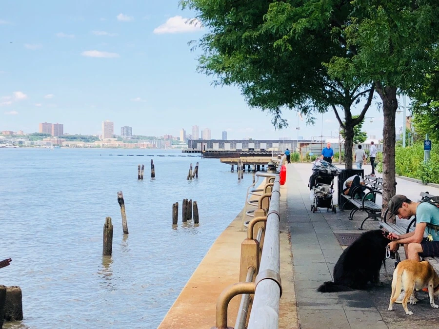 IMG_9503.jpg?type=w966