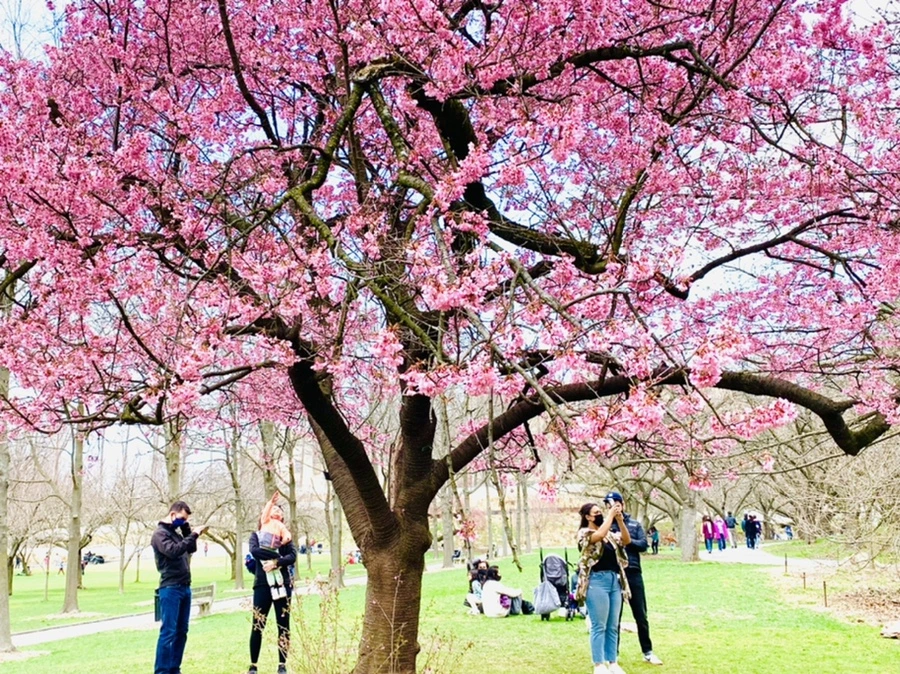 IMG_7084.jpg?type=w966