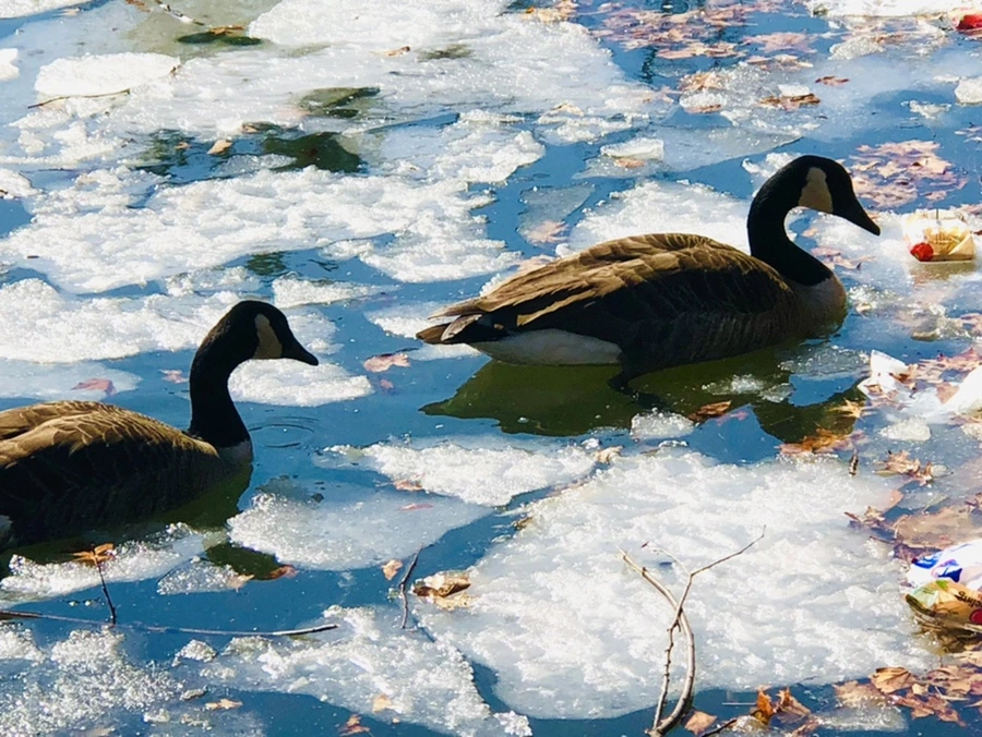 IMG_5091.jpg?type=w966