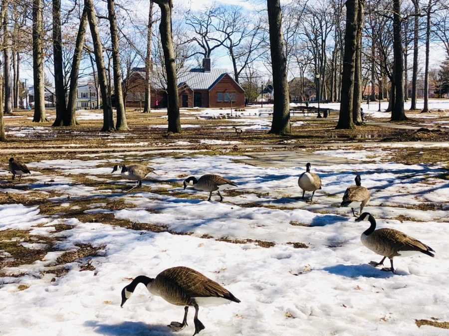 IMG_4706.jpg?type=w966