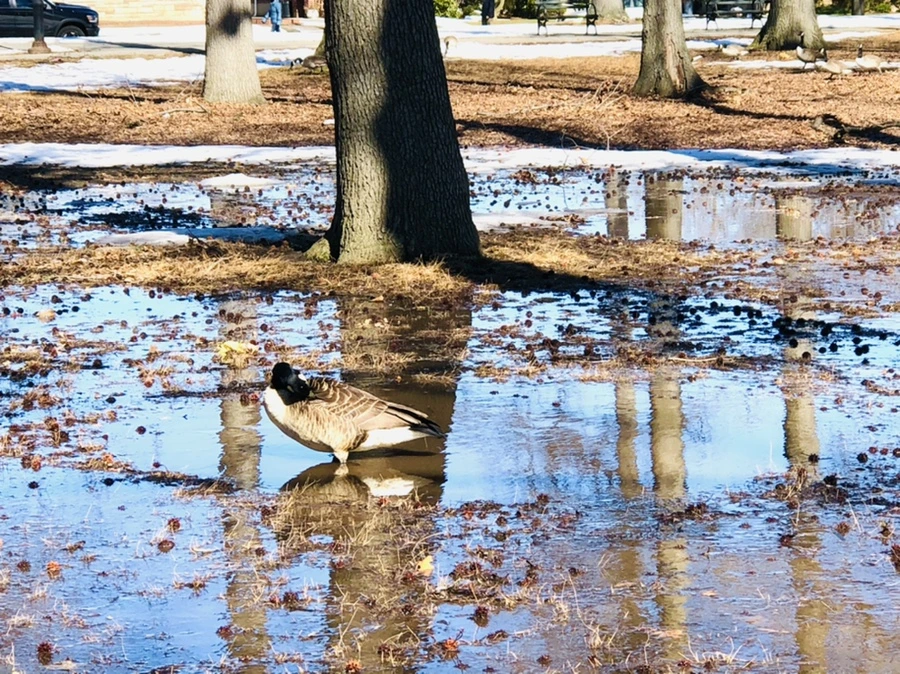 IMG_4668.jpg?type=w966