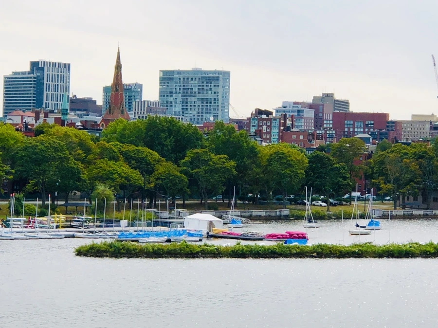 IMG_0577.jpg?type=w966