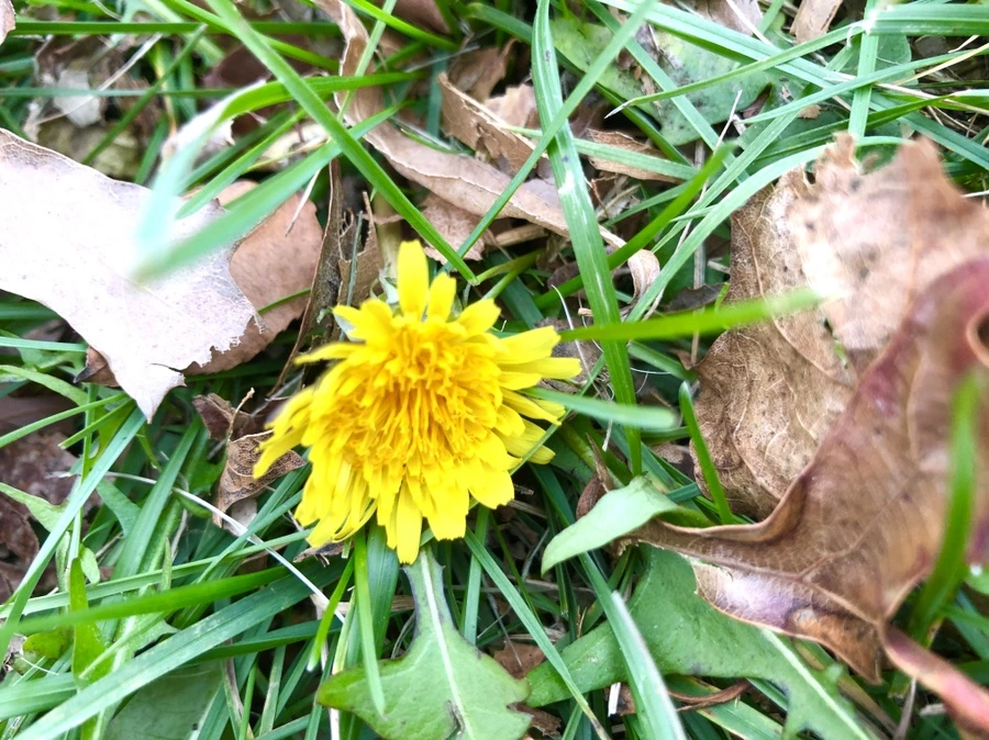 IMG_6087.jpg?type=w966