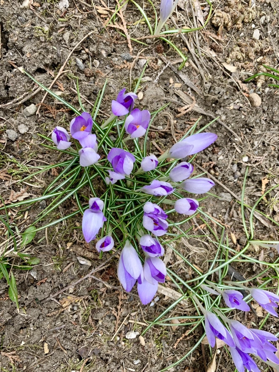 IMG_1717.jpg?type=w966