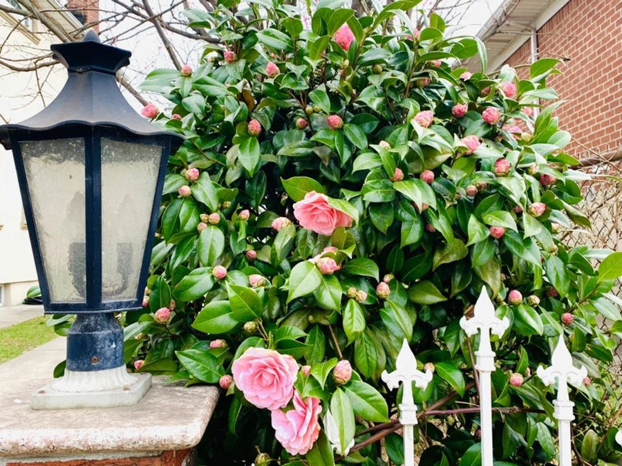 Ee-JzquTwwO2Ee5i_xXYwVml5lE