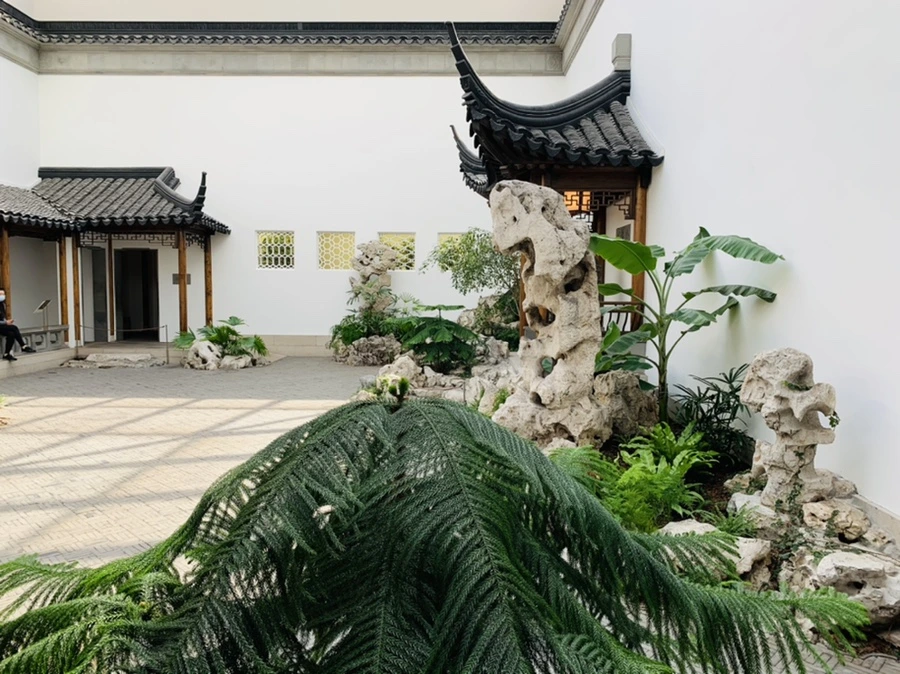 IMG_8851.jpg?type=w966