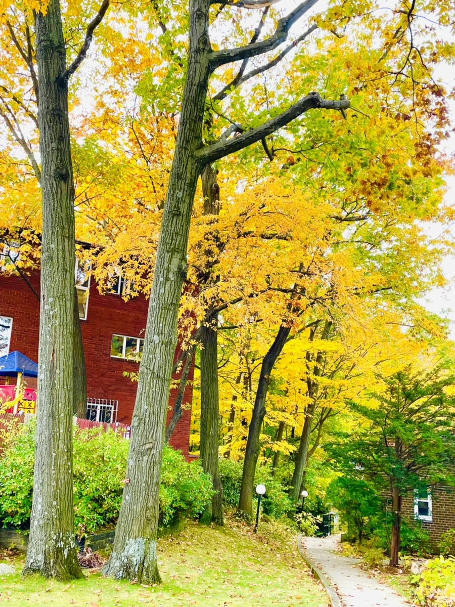 IMG_2282.jpg?type=w966