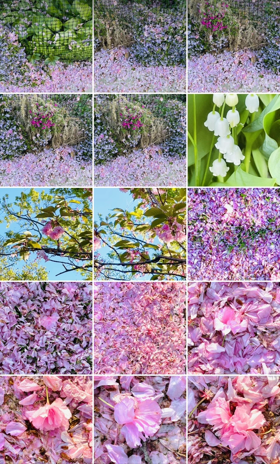 IMG_6237.jpg?type=w966