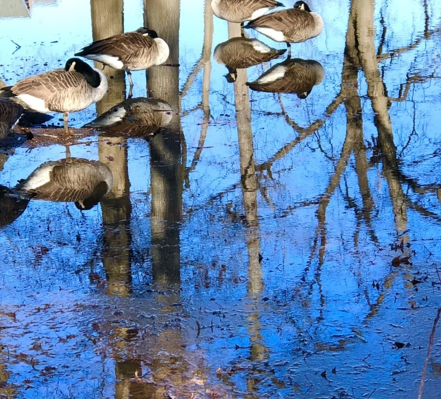 fmShHx0jdHBW2t4EGsSyQ8SXWcQ