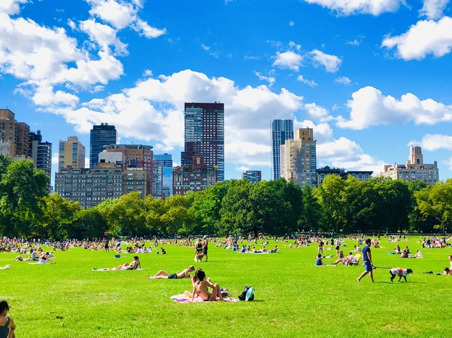 IMG_8867.jpg?type=w966