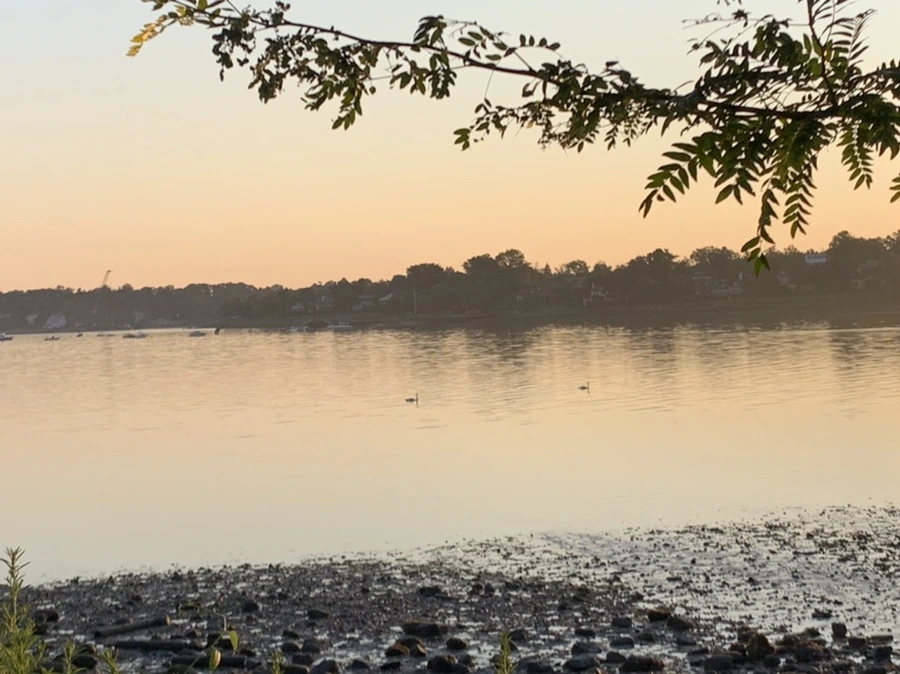 IMG_0236.jpg?type=w966