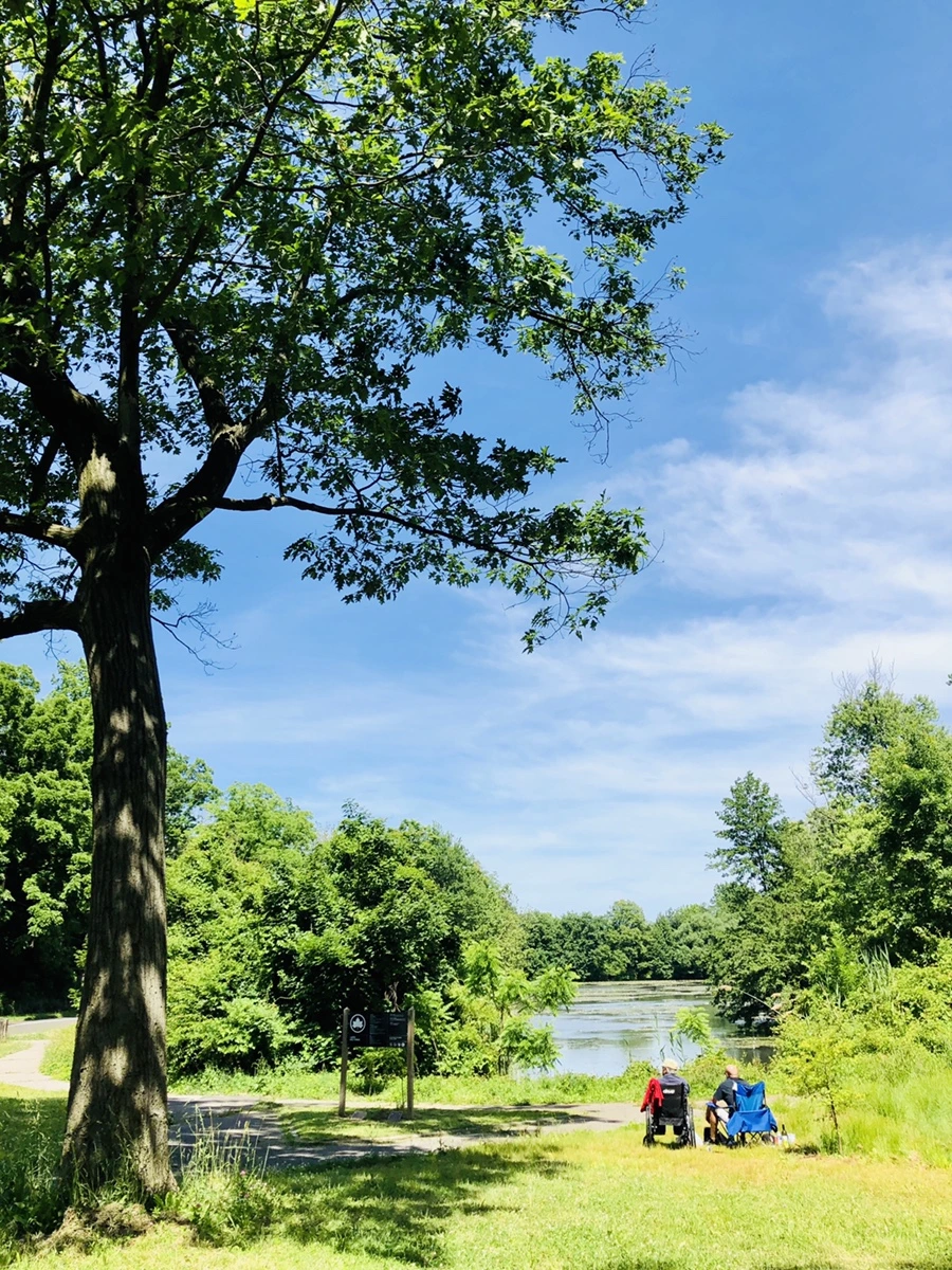 IMG_9411.jpg?type=w966