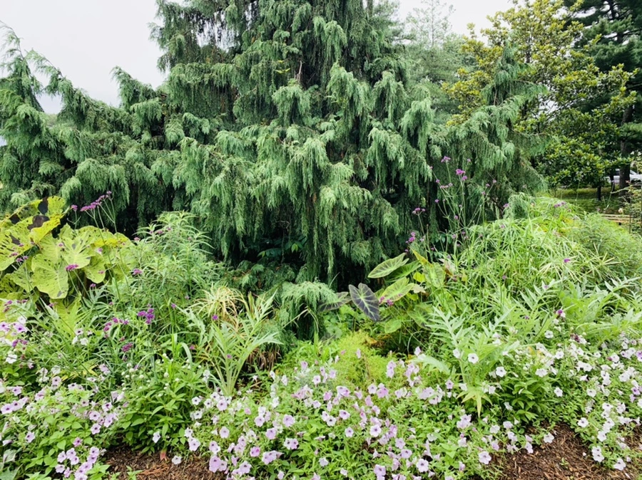 IMG_0999.jpg?type=w966