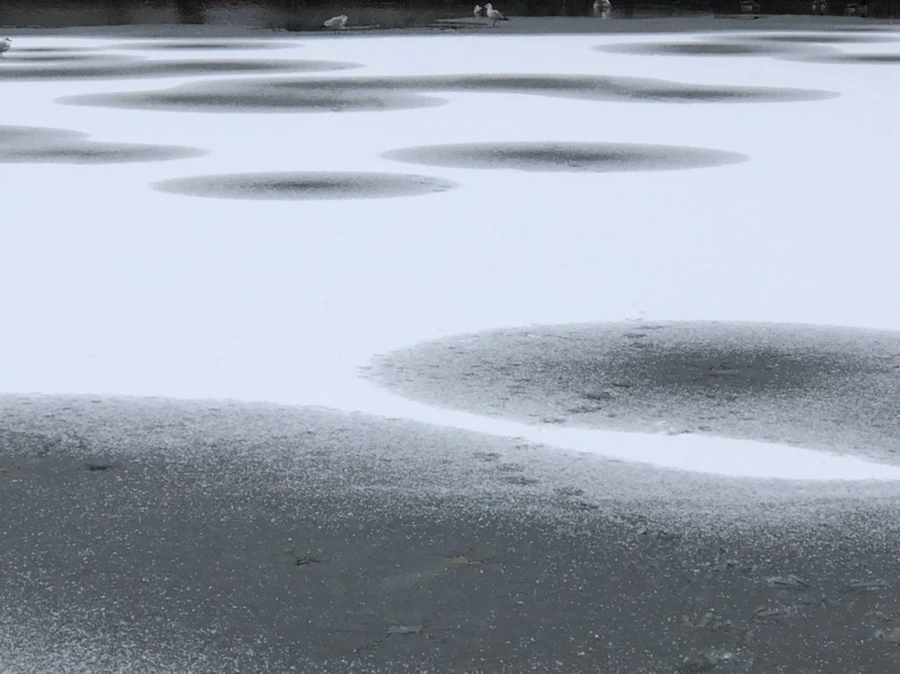 IMG_6163.jpg?type=w966