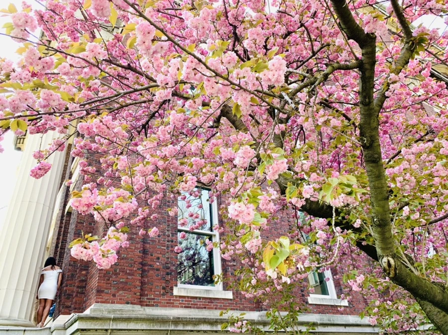 IMG_5113.jpg?type=w966