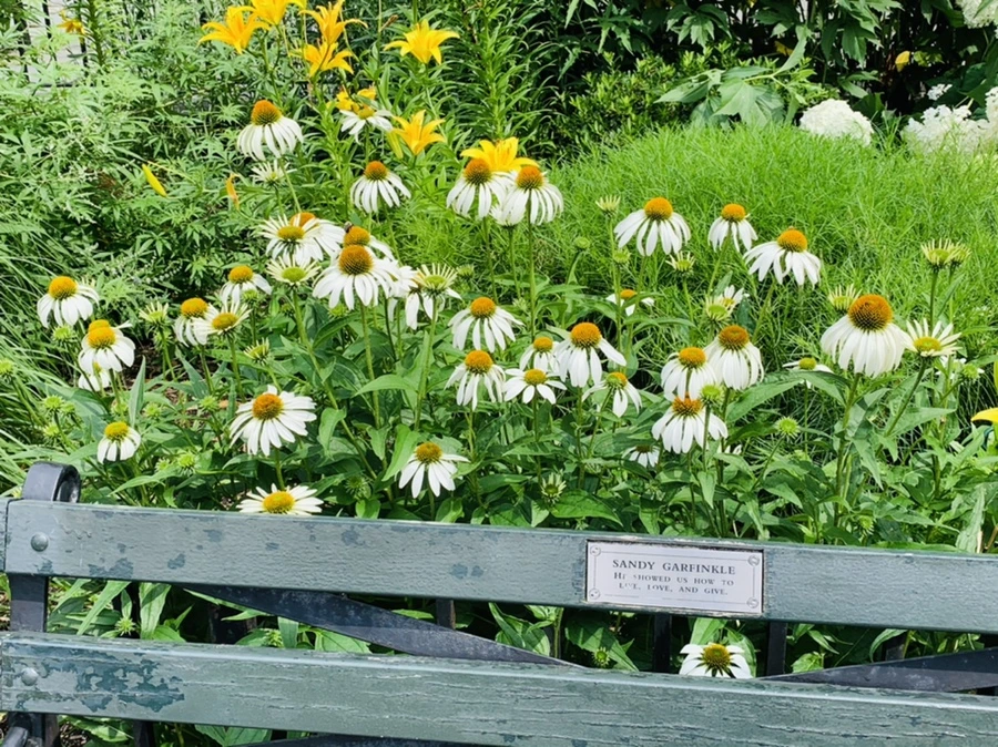 IMG_9899.jpg?type=w966