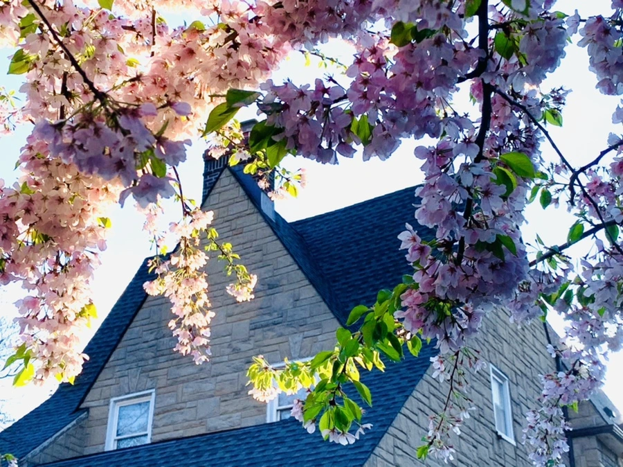 IMG_2451.jpg?type=w966