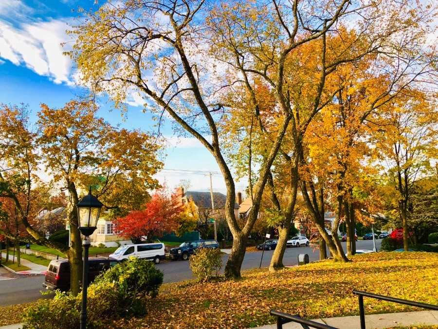 IMG_7593.jpg?type=w966