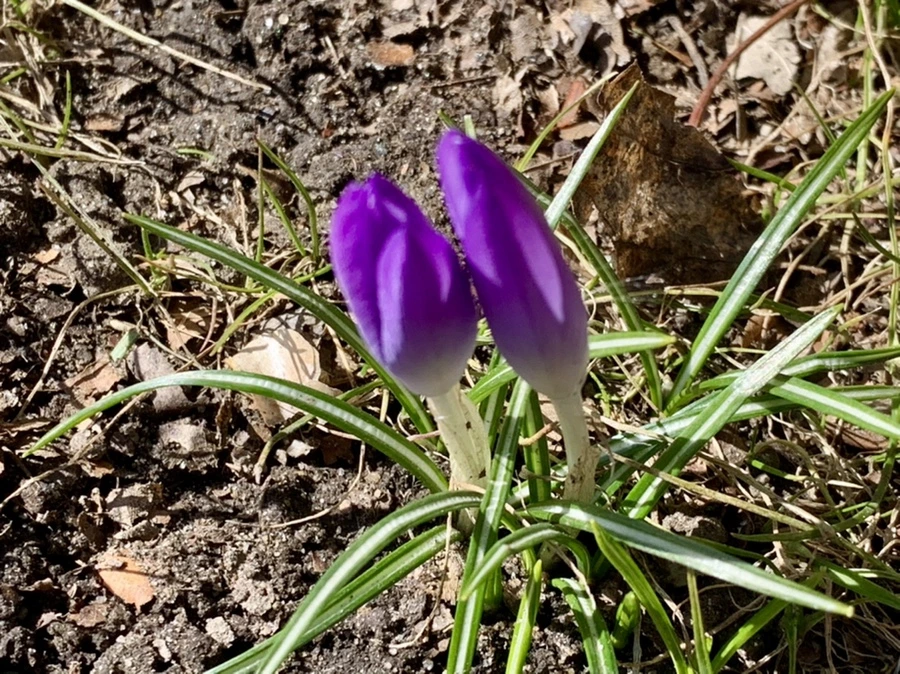 IMG_7473.jpg?type=w966