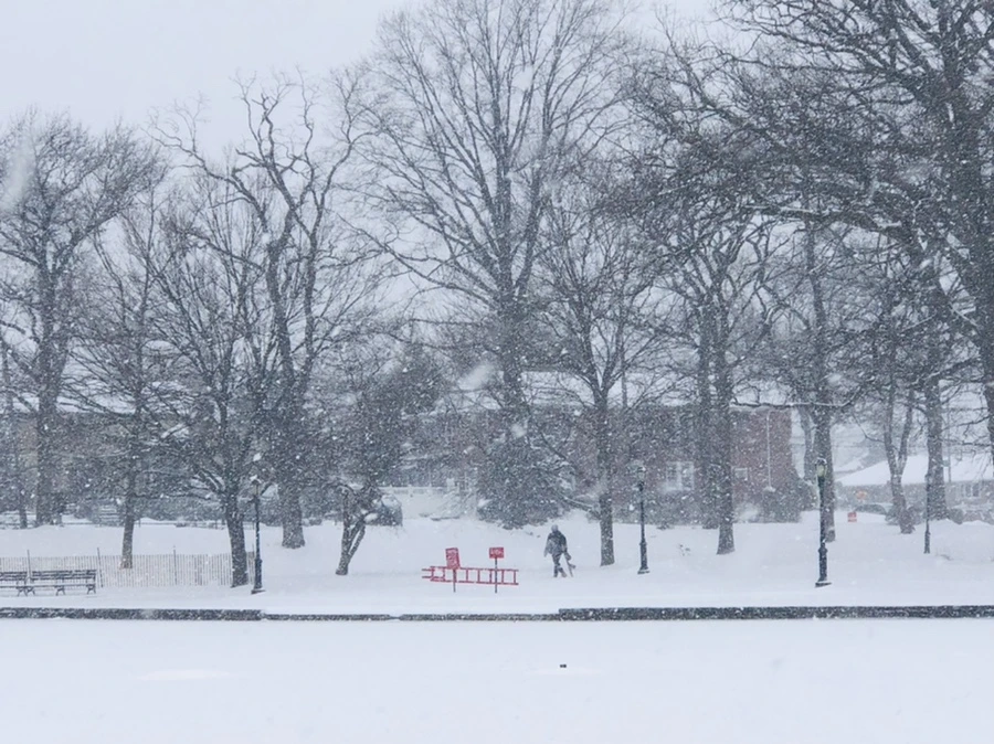 IMG_3373.jpg?type=w966