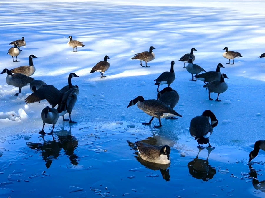 IMG_9926.jpg?type=w966