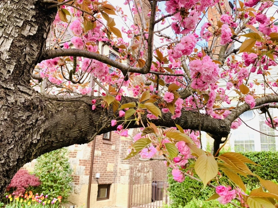 IMG_4341.jpg?type=w966