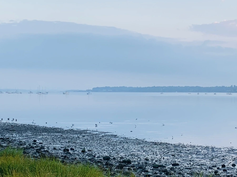 IMG_8180.jpg?type=w966