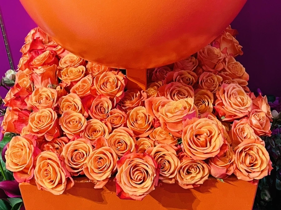 IMG_7620.jpg?type=w966