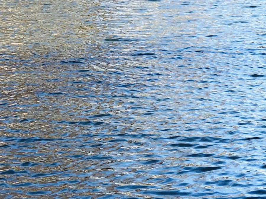 IMG_3835.jpg?type=w966