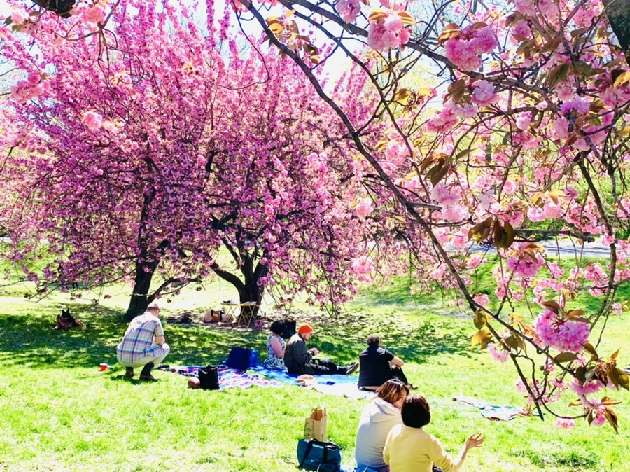 IMG_5934.jpg?type=w966