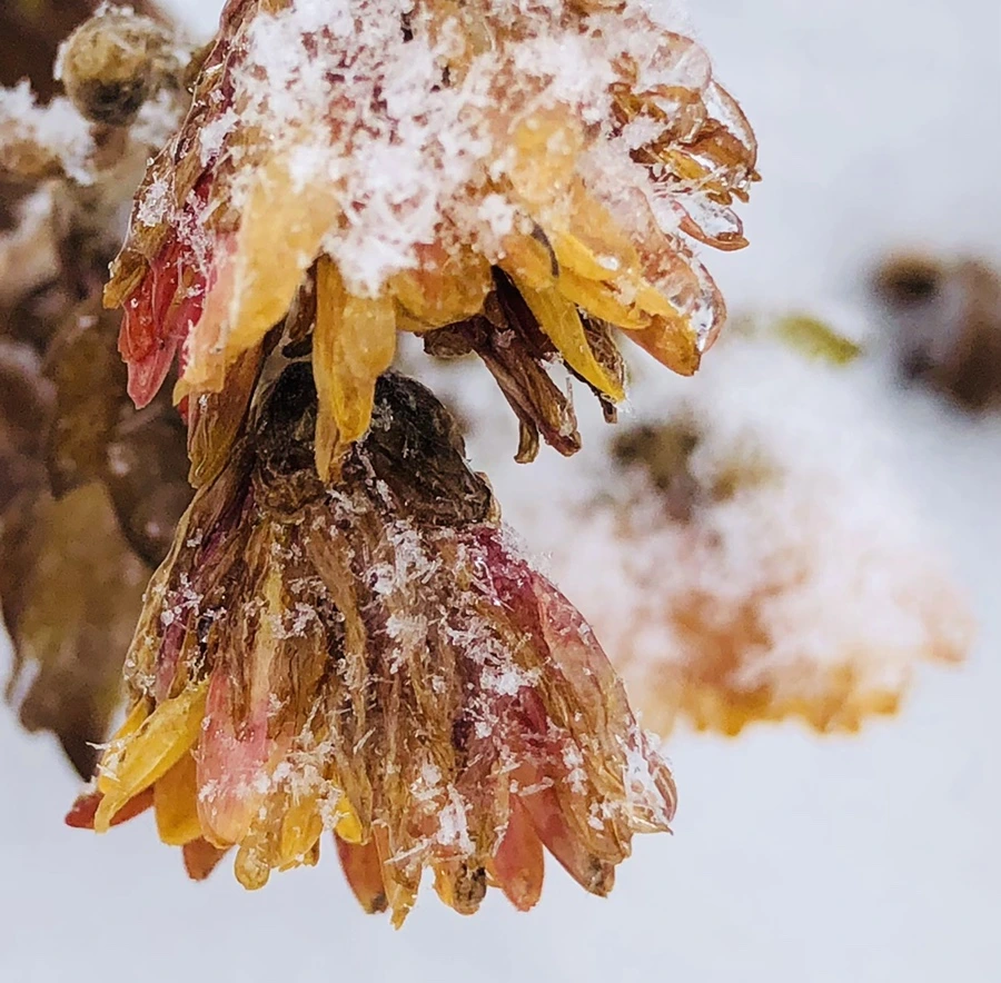 IMG_3444.jpg?type=w966