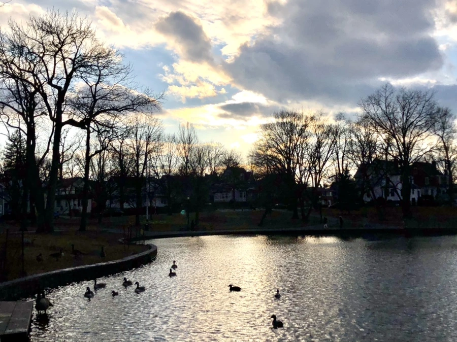 IMG_4408.jpg?type=w966