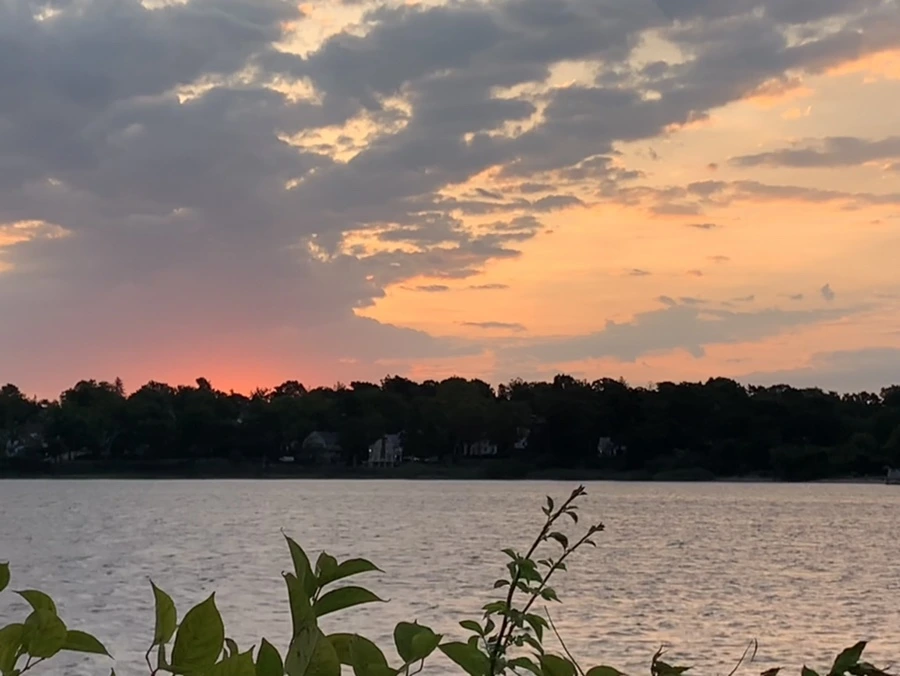 IMG_1678.jpg?type=w966