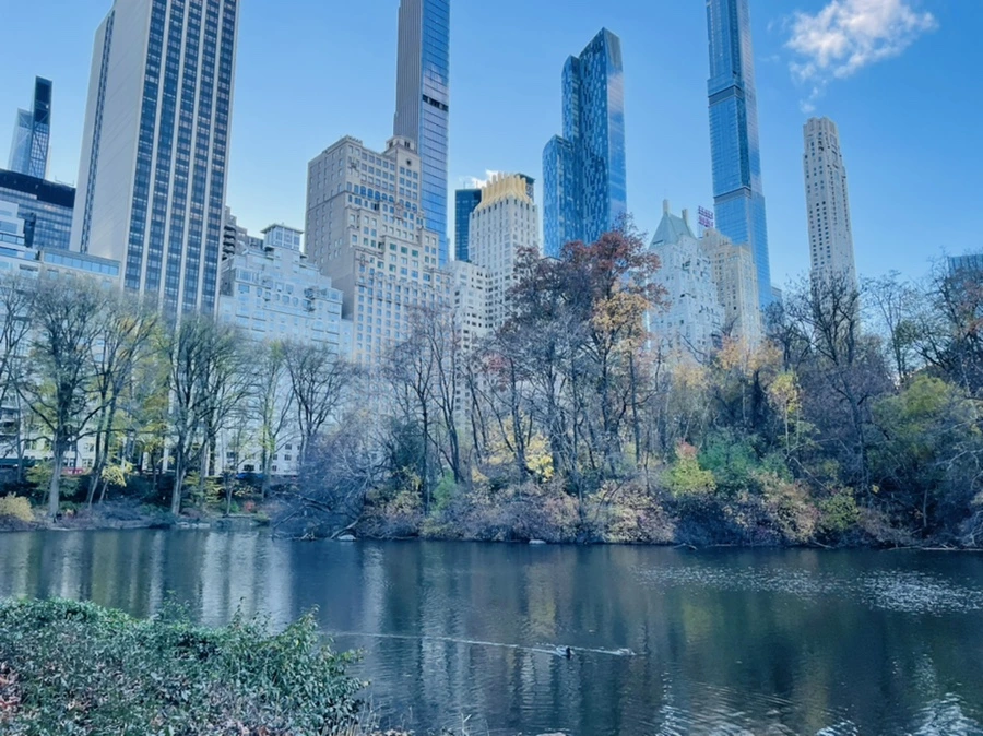 IMG_5013.jpg?type=w966