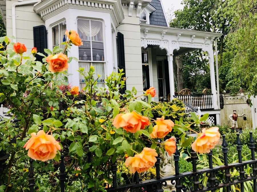 IMG_7392.jpg?type=w966