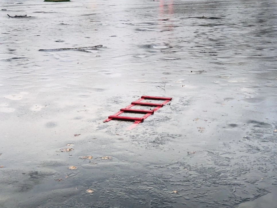 IMG_9037.jpg?type=w966