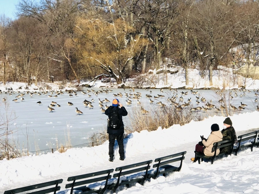 IMG_9849.jpg?type=w966