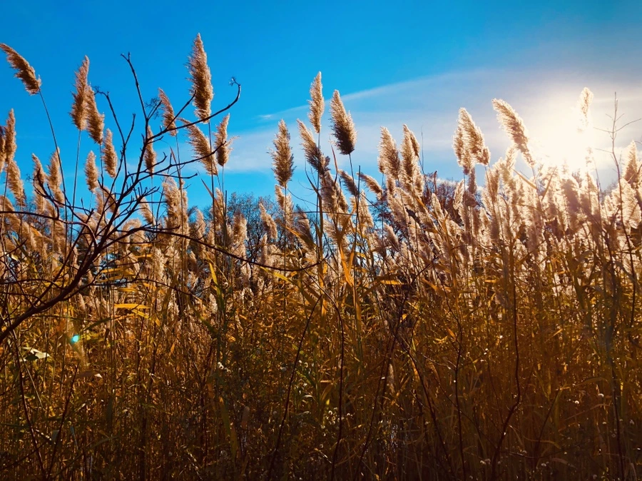 IMG_5322.jpg?type=w966