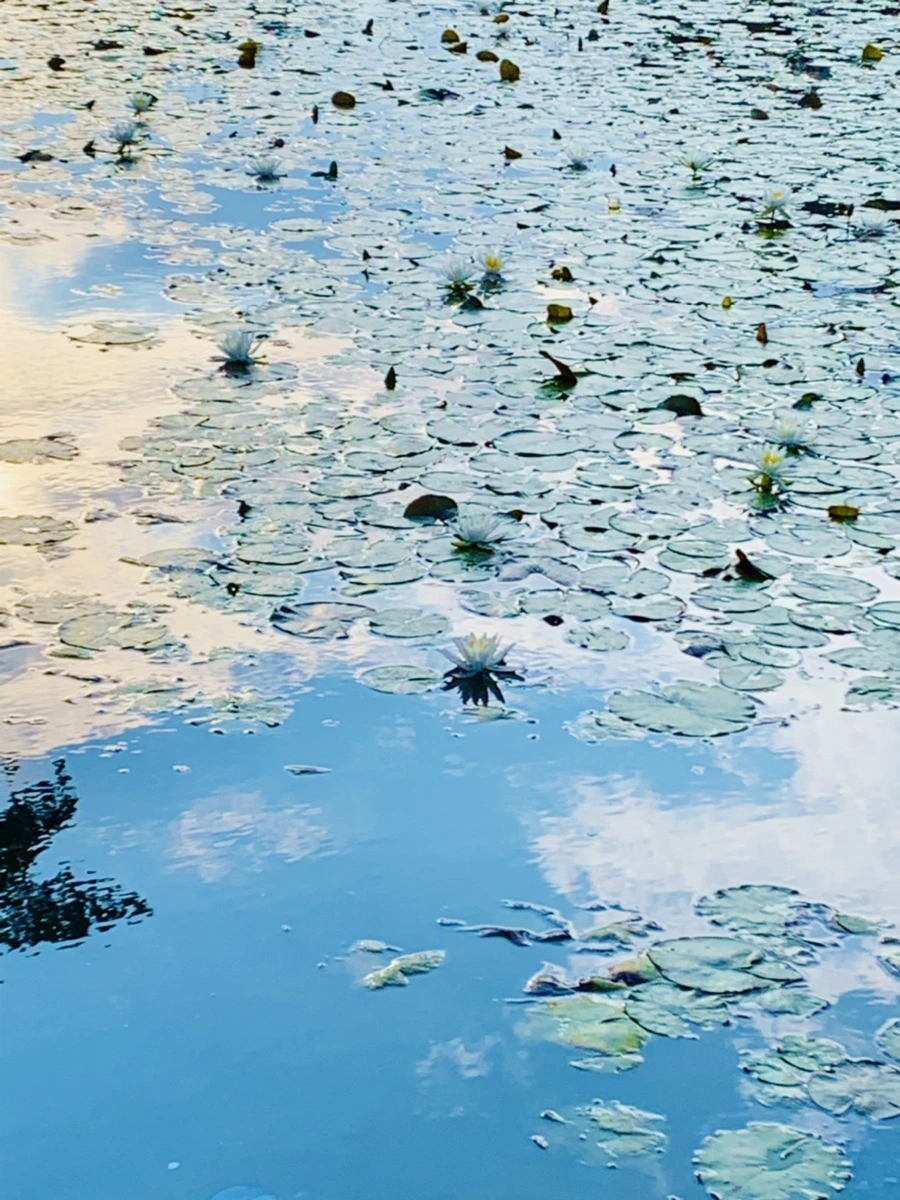 IMG_5861.jpg?type=w966