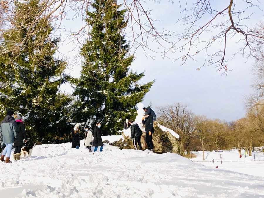 IMG_7071.jpg?type=w966