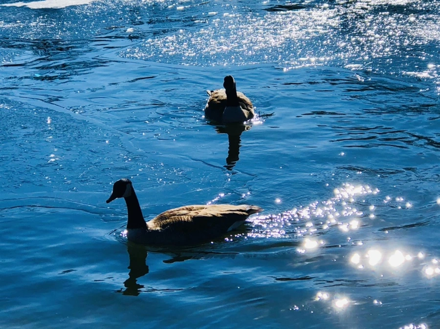 IMG_7781.jpg?type=w966