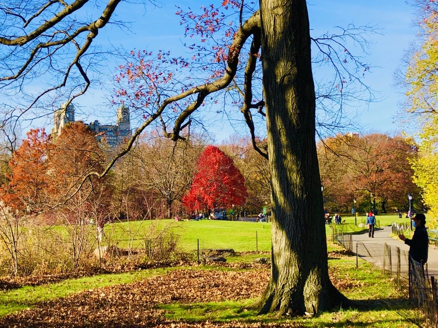 IMG_5311.jpg?type=w966