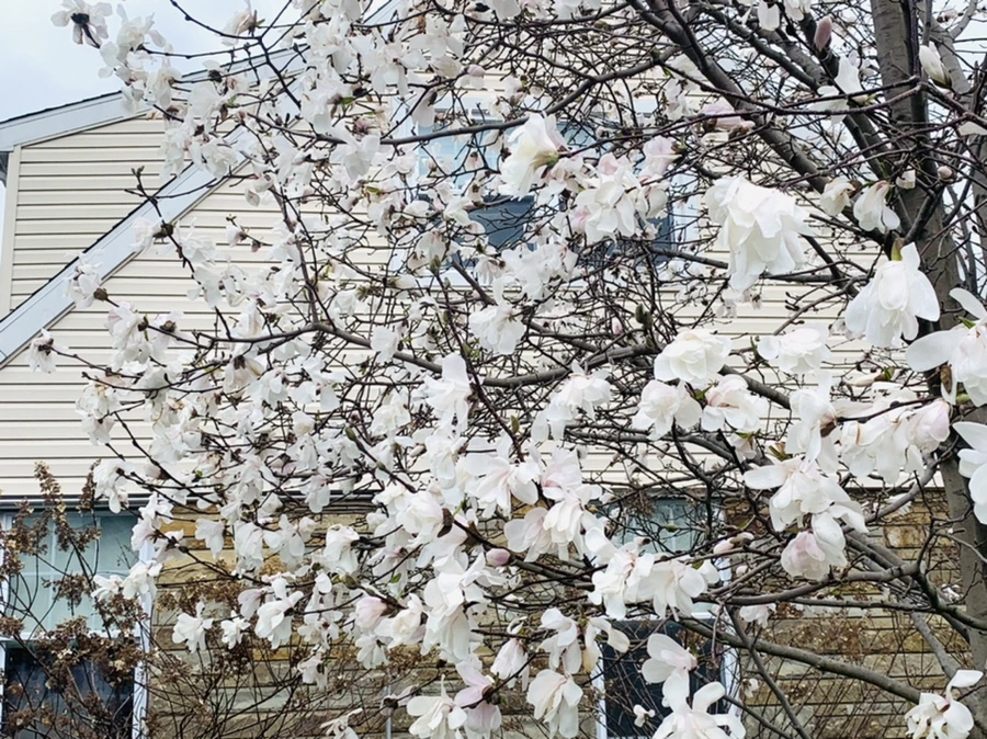 IMG_6123.jpg?type=w966