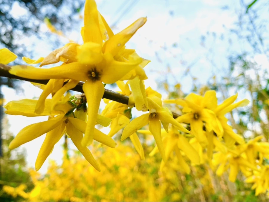 IMG_3610.jpg?type=w966